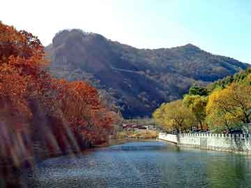 新澳天天开奖资料大全旅游团，葡萄牙车祸灵异事件